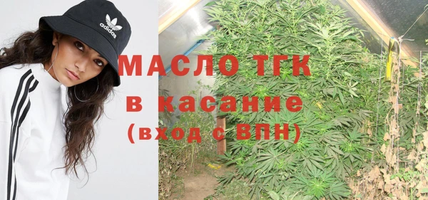 дмт Абаза