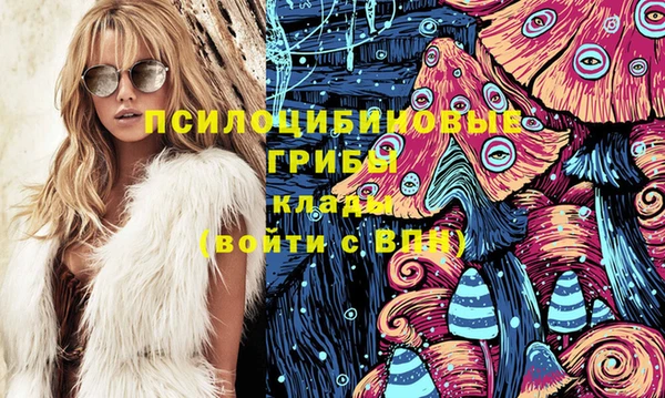 стафф Абинск