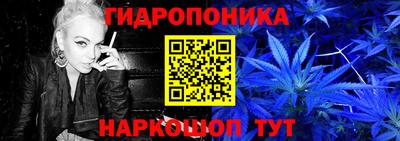 прущие грибы Конаково