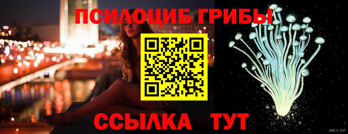 Псилоцибиновые грибы Psilocybine cubensis Красный Сулин